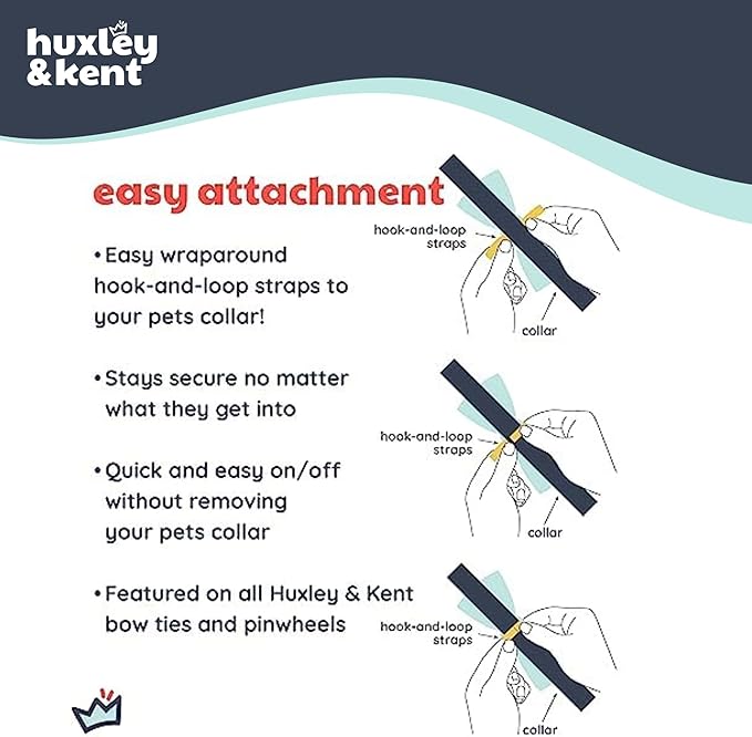 Huxley & Kent Pet Bow Tie for Dogs & Cats - Spring Theme Adjustable Hook & Loop Collar Accessory - Cute & Comfortable for Holidays & Celebrations - Busy Bees, Large