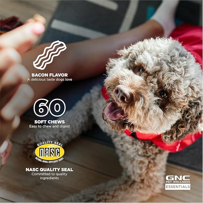 GNC Pets Essentials Dog Probiotic Soft Chews for Digestive Support, Bacon Flavor Daily Supplement with Prebiotics, Probiotics and Enzymes for Puppies and Adult Dogs in Reusable Jar, 60 Count - 3 Pack