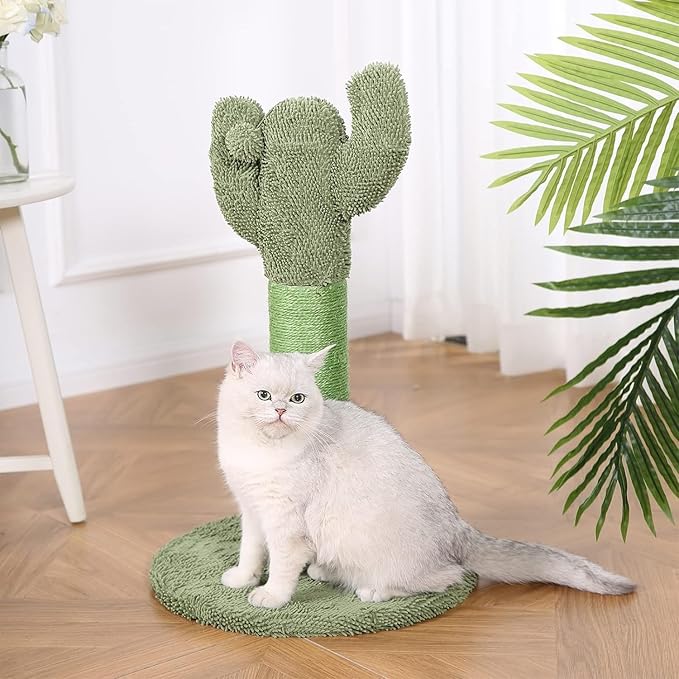 Amazon Basics Cat Scratcher - Indoor Cactus Single Cat & Kittens Scratching Post with Dangling Ball, Medium (25.6" H) - Green