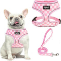 PUPTECK Soft Mesh Dog Harness and Leash Set Pet Puppy Cat Comfort Padded Vest No Pull Harnesses, Checkered Pink&White, M