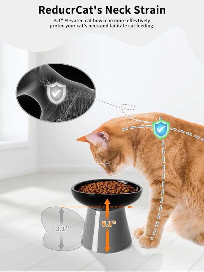 LoeJan Elevated Cat Food and Water Bowls Set, Extra Wide and Raised Ceramic Feeder, Anti-Vomit Whisker-Free Pressure Feeding Bowl for Kittens Adult Small Dogs(Black, 2 Pack)