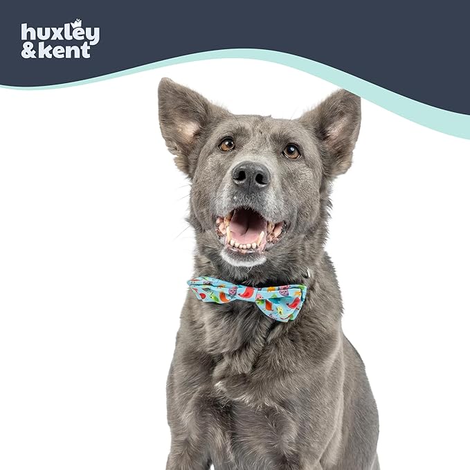 Huxley & Kent Pet Bow Tie for Dogs & Cats - Summer Theme Adjustable Hook & Loop Collar Accessory - Cute & Comfortable for Holidays & Celebrations - Yard Birds, Large