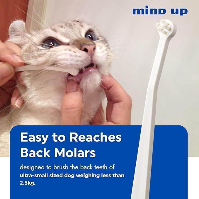 MIND UP Cat Toothbrush with Micro Head, 15° Angled Design for Easier Reach, Pet Toothbrush for Cats & Kittens, Gentle Everyday Brushing, Made in Japan