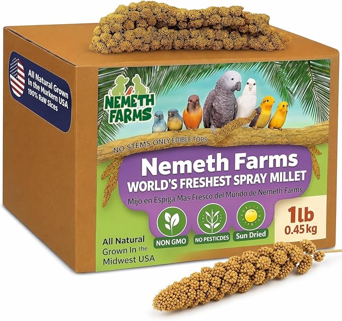 USA Grown Spray Millet for Birds – Midwest Harvest, 1 lb Premium 100% Natural, Sun-Dried Non-GMO Whole Millet Sprays, Bird Treat for Parakeets, Budgies, Cockatiels, Conures, Lovebirds & Finches