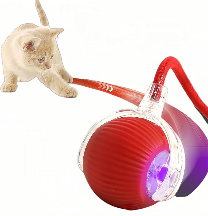 Interactive Cat Ball Toy with String, Interactive Cat Toys Ball Fast Rolling，Red, Bouncing Teaser Wand