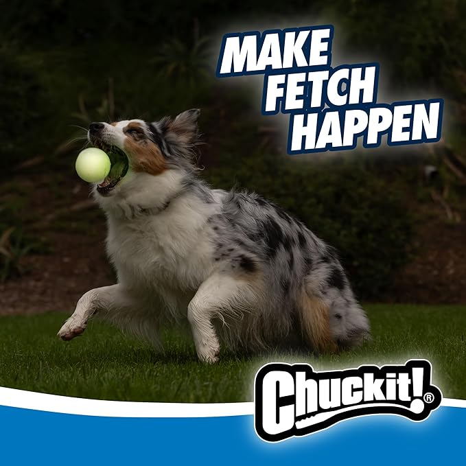 Chuckit! Glow in the Dark Bouncy Balls - Ball for Dogs, Chuckit Dog Toy, Max Glow Balls - Medium, 2.5 Inch, Pack of 1