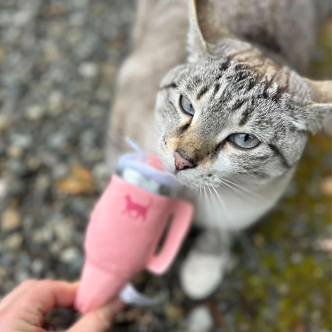 Kitty Cup Catnip Toy - Valentines & Birthday Cat Gift Toy with Catnip & Crinkle, Funny Gift for Girl Indoor Kitten (Chambray Blue)