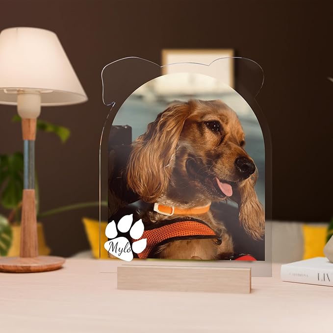EGD Customized Gifts for Dog Memory Gifts | Personalized Picture Frame for Dog Lover Gift with Name & Picture | Loss of Pet Sympathy Gift Dog | Dog Birthday Gift | Pet Portrait Display (B. Dog)