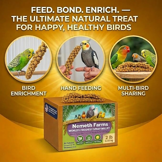 USA Grown Spray Millet for Birds – Midwest Harvest, 2 lbs Premium 100% Natural, Sun-Dried Non-GMO Whole Millet Sprays, Bird Treat for Parakeets, Budgies, Cockatiels, Conures, Lovebirds & Finches