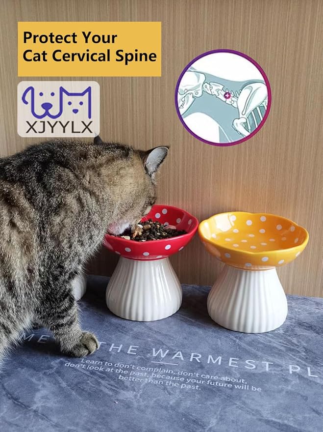 Elevated Mushroom Cat Bowls Ceramic, Raised Cat Bowl for Indoor Cats, Cute Whisker Fatigue Cat Bowl, Raised Dog Bowl Stand for Food and Water, Red 6" Wide for Adult Cats