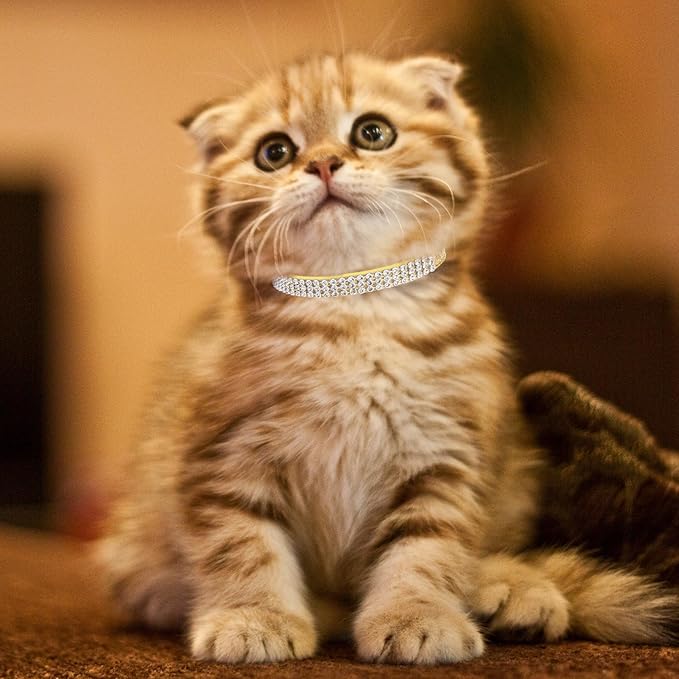 PUPTECK Basic Adjustable Cat Collar with Bling Diamond and Double Bells, for Kitten and Small Puppy, Fashion and Shining Dog Rhinestone Collars, 8-10in, Gold