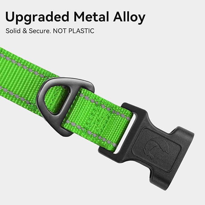 Joytale Reflective Dog Collar, Soft Neoprene Padded, Metal D-Ring, Nylon Pet Collar Adjustable for Puppy and Small Dogs, Green, XS