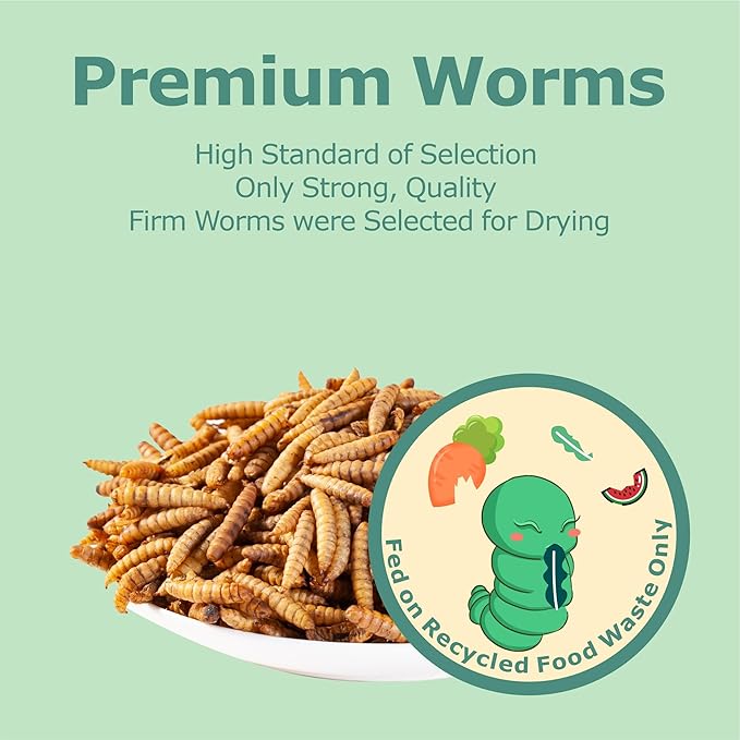 WORMSKING 2LB Dried Black Soldier Fly Larvae, More Calcium Than Dried Mealworms, High Protein Chicken Feed, Poultry Treat, Chicken Scratch