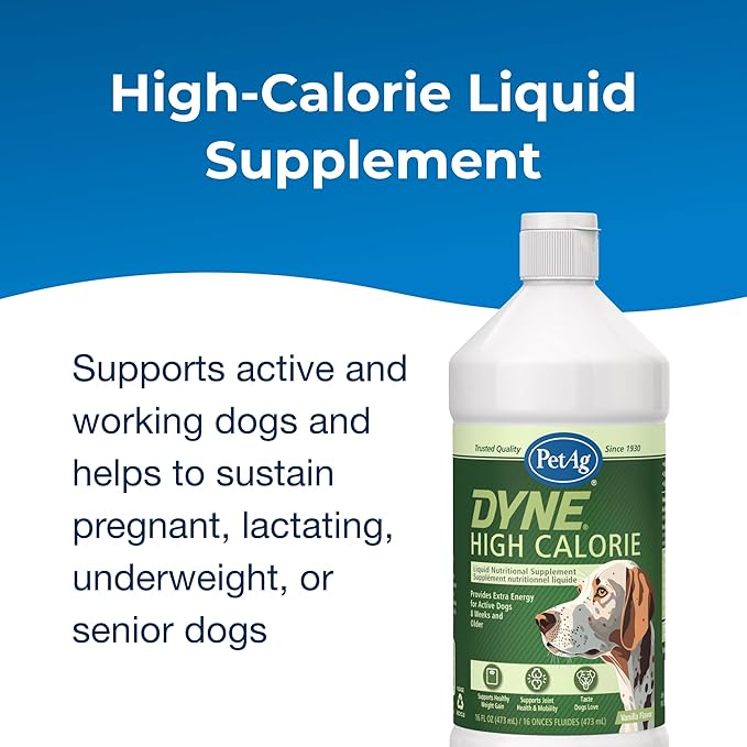 PetAg Dyne High Calorie Liquid Nutritional Supplement for Dogs & Puppies 8 Weeks and Older - 16 oz, Pack of 2 - Supports Performance and Endurance - Sweet Vanilla Flavor