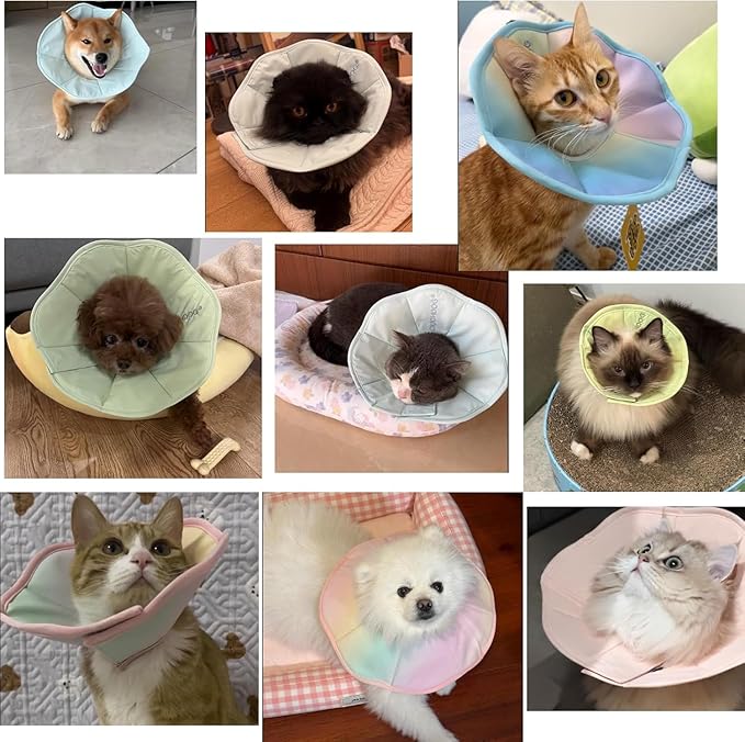Touchdog Soft Cat Cone Collar, Waterproof Recovery Collar for Cats After Surgery, Lightweight Elizabethan Collar for Kittens, Small to Large