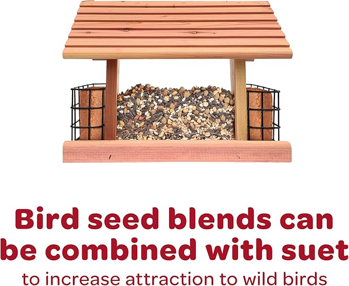 Kaytee Gourmet Bird Bar, 12-Ounce