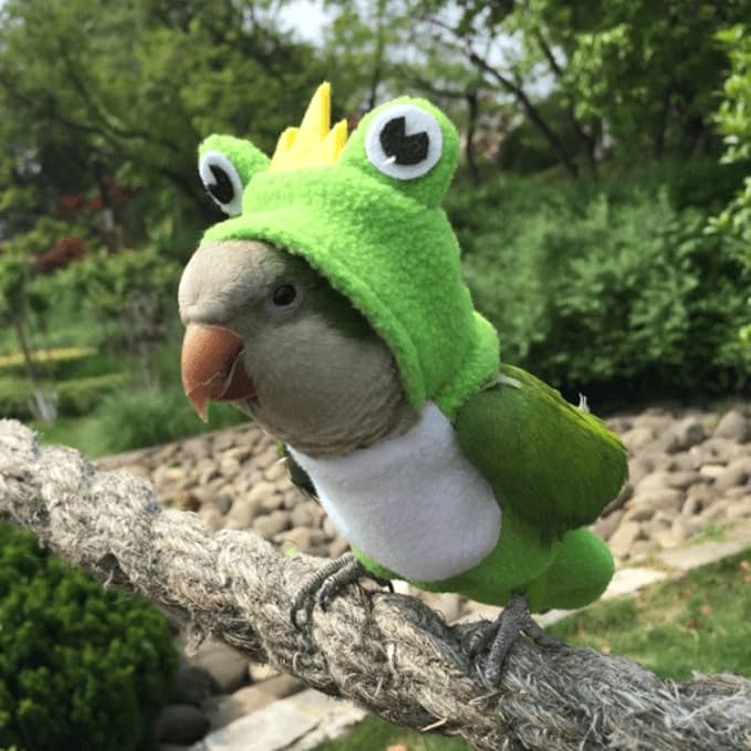 Bird Costume Diaper Flight Suit Frog Shape Hoodie Clothes Cosplay Photo Prop for Parrots Parakeet Cockatiel Sun Conure, Small Animals Apparel (Pink with Diaper, Medium), Green (BPF1)