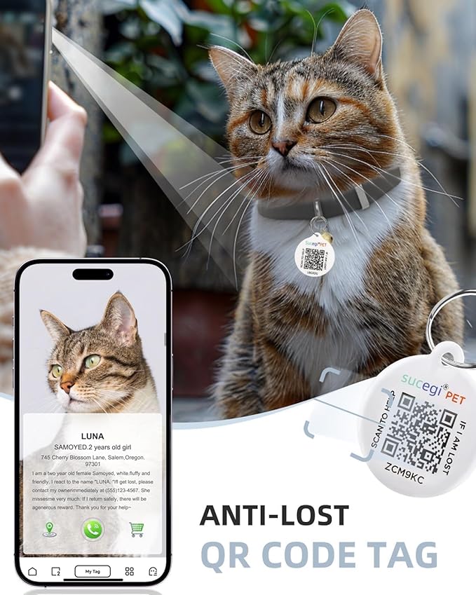 Cat Collar with QR Code Name Tag, Stretch Elastic Quick Release, Cat ID Tag Personalized, Ultra-Durable, Non Breakaway Lightweight Kitten Collar Fits Most Girl Boy Small Large Cats (Black)
