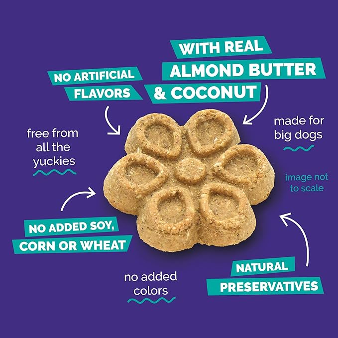 Fruitables Biggies Dog Biscuits, Pumpkin Treats for Dogs, Healthy Doggie Biscuits, Crunchy Treats, No Wheat, Corn or Soy, Made in The USA, Almond Butter and Coconut Flavor, 16oz