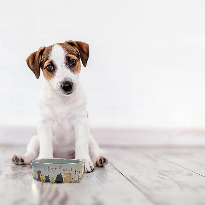 SPOT Best Friends Pet Food Dish - Food or Water Ceramic Bowl for Pets, Ideal for Small Dogs, Dishwasher Safe, 1.75 Cups (14oz) Capacity - 5in, Light Grey