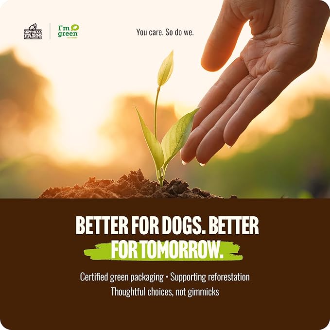 Natural Farm Odor Free Bully Sticks (2-3 Inch, 1 Pound) for Small & Medium Dogs - 100% Beef Chews for Pups, Non-GMO, Grain-Free, Fully Digestible Long Lasting Dog Treats