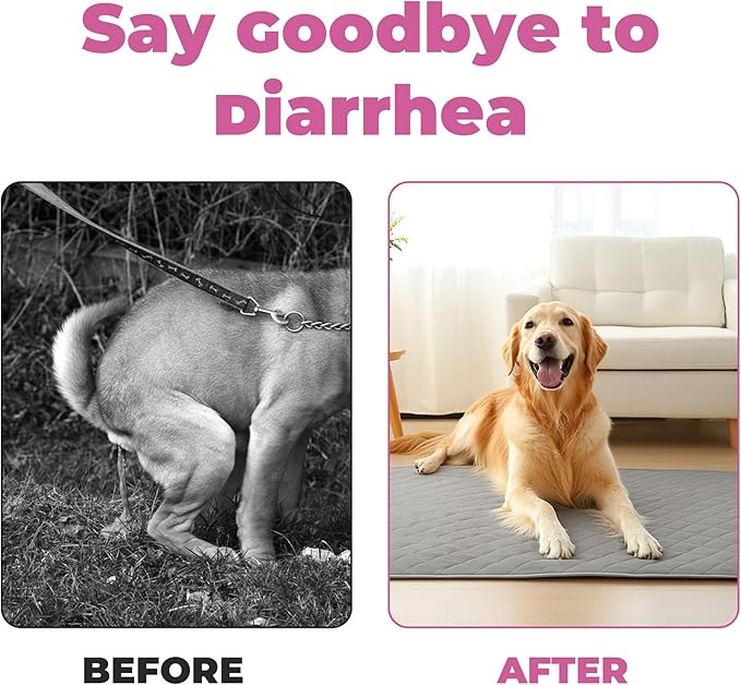 Probiotics for Dogs - Diarrhea Relief for Dogs and Cats - Supports Relief of Diarrhea and Loose Stools - Supports Digestive Balance and Gut Health - with Kaolin Clay and Probiotics - 300 Tablets
