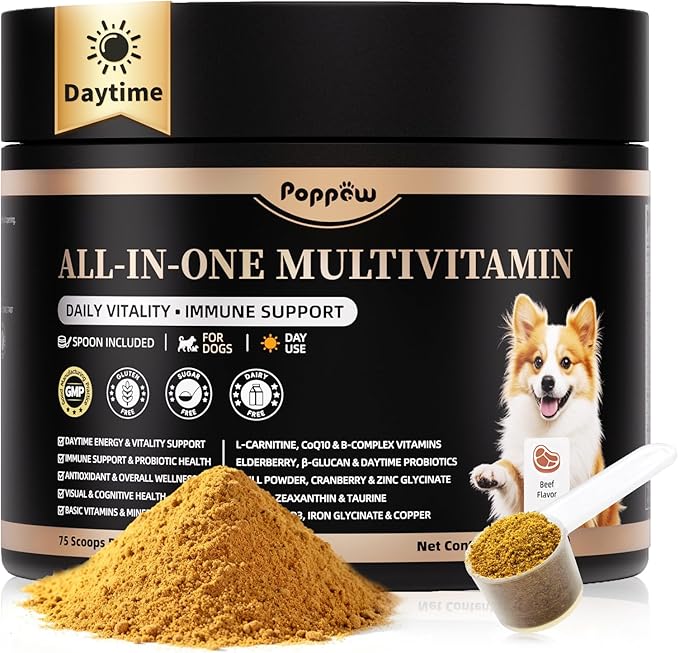 Dog Vitamins and Supplements for Daily Energy, Immune, Antioxidants, Gut, Skin & Coat, Dog Multivitamin Powder for Homemade Food with L-Carnitine, Taurine, Probiotics - Beef Flavor, 75 Scoops