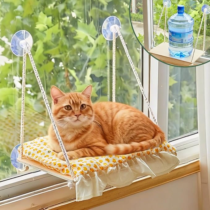 Cat Window Perch, Heavy Duty 20KG/44LB Suction Cup Hammock Bed with Soft Cushion, Secure & Stable Window Mount for Lazy Time, Bird Watching, Safe for Large Cats, 18.9"x14.5" (Little Bear)