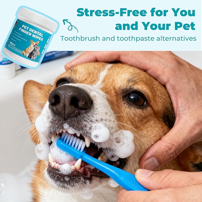 Pet Teeth Cleaning Finger Wipes for Cats and Dogs, Unscented Tartar Control with Tea Polyphenol, Fresh Breath, 50 Count