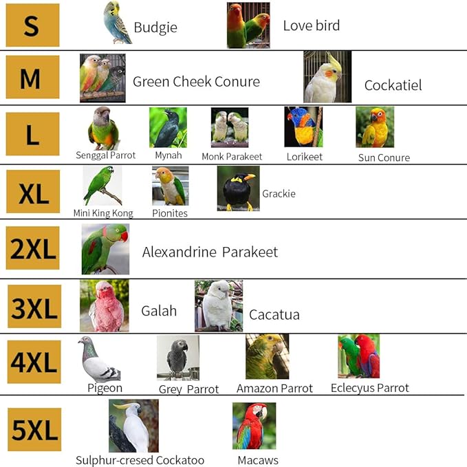 Parrot Bird Diapers, Birds Flight Suit, Parrot Clothes, Pet Animal Costumes, Bird Clothes, Cockatiel Bird Diaper, Pet Bird Diapers, Parrot Flight Suit, Bird Parrot Clothes (Yellow, M)