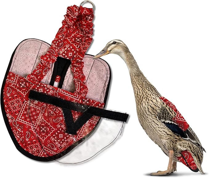 Hen Holster Wrap-Around Duck Diaper with Removable Liner and Fixed Tab - Durable, Secure Fit, Easy-to-Wear - US-Made Runner Duck Diapers - Essential Duck Supplies for Real Ducks - Red Bandana