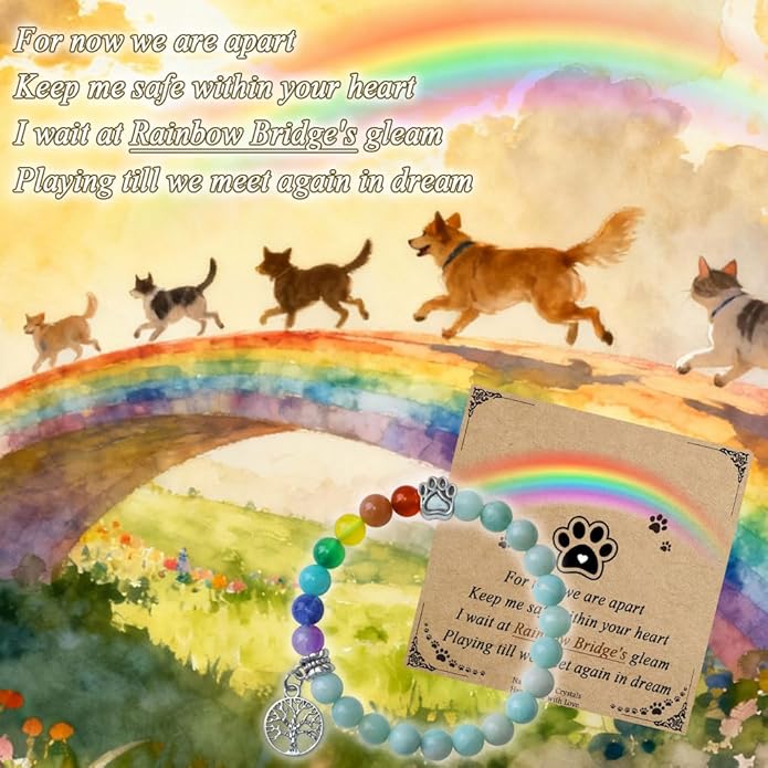 Pet Memorial Gifts, Sympathy Gift for Loss of Dogs and Cats, Chakra Rainbow Bridge Bracelet for Women Men Who Lost Pets