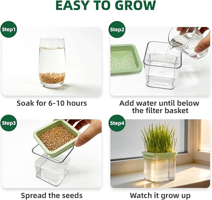 Hydroponic Cat Grass Kit with 5 Pack Non GMO Seeds & Scissors - Cat Grass for Indoor Cats, Helps Cat with Hairballs & Digestion, Easy 3-Step Setup,Gifts for Cat Lovers (Food-Safe PP&AS, 7-Day Growth)