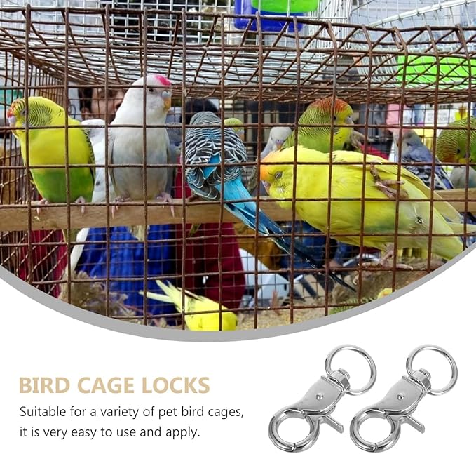 Ipetboom 5pcs Birdcage Lock Metal Snaps Door Chain Lock Heavy Duty Birds Cage Metal Clip Spring Hook Bird Cage Door Bird Accessories Stainless Steel Fly Rope Parrot to Rotate