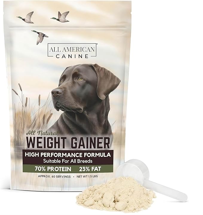 All American Canine Dog Weight Gainer – High Calorie Dog Food Supplement & Protein Powder for Rapid Weight Gain, Mass, and Recovery – Appetite Stimulant – 60 Servings