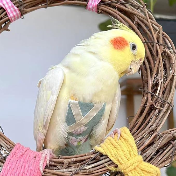 Bird Flight Suits Diapers, Parrot Flight Suits Diapers for Quaker Parakeets Cockatiels Conures Macaw African Grey, Bird Diaper, Parrot Clothes (Almond,XS)