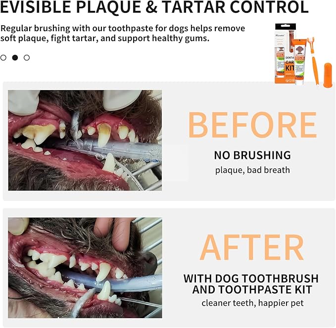 Dog & Cat Toothpaste Kit with Toothbrush & Finger Brush – 100g Vanilla Flavor Pet Toothpaste – Helps Reduce Plaque, Freshen Breath & Support Healthy Gums – Puppy & Adult Pet Dental Care