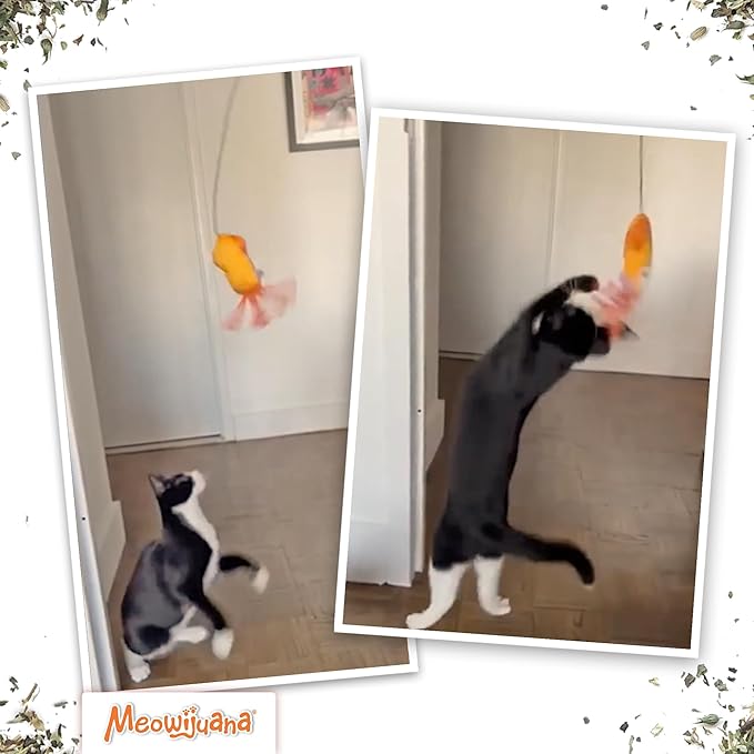 Meowijuana Jump 'n' Jamb Door Hanging Cat Toy | Deep Sea Squid | Refillable Interactive Catnip Toy | Promotes Play and Cat Health | Includes Potent Catnip Grown in North America