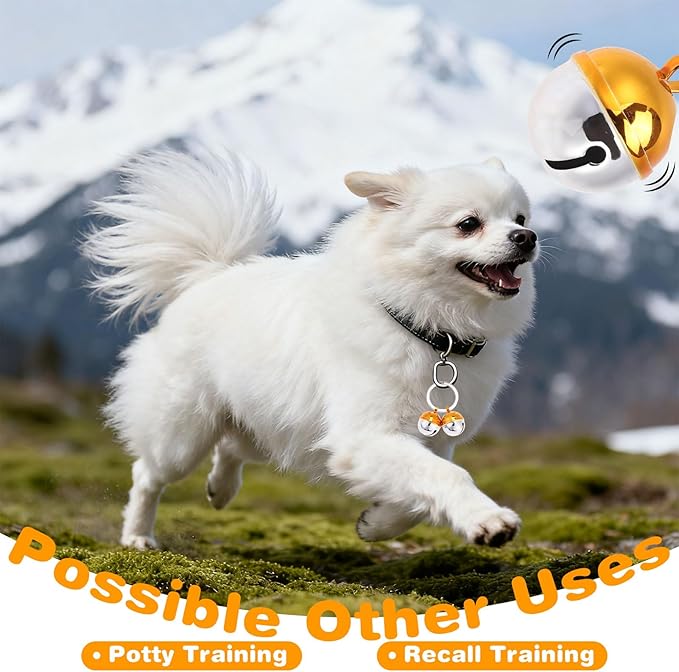 EXPAWLORER Pet Bells for Cat Collar - Extra Loud Dog Cat Collar Accessories Bells, Color Blocking Pet Jingle Ornament Training Pendant Neck Decoration, Tracker for Saving Birds, Silver 1 Pack