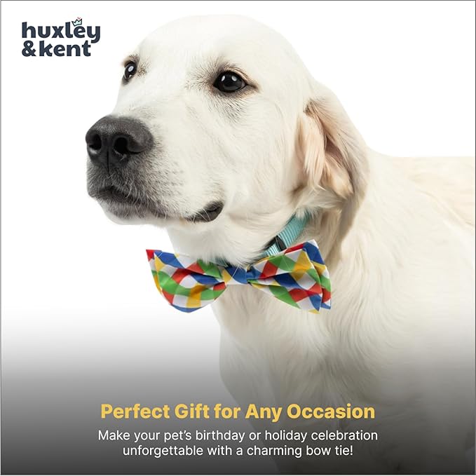 Huxley & Kent Pet Bow Tie for Dogs & Cats - Adjustable Hook & Loop Collar Accessory - Cute & Comfortable for Holidays & Celebrations - Summertime Check, Large