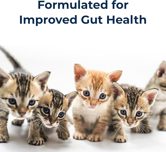 PetAg KMR Kitten Milk Replacer Liquid - 11 oz - Ready-to-Feed Kitten Formula with Vitamins for Kittens Newborn to Six Weeks Old - Easy to Digest