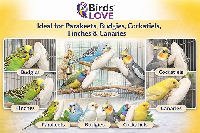 Birds LOVE 5.5-6″ Cuttlebones for Birds – 100% Natural Sun-Dried Calcium & Beak Conditioning Supplement for Parakeets, Budgies, Cockatiels, Finches & Canaries – 2 Pack with Holder – Made in Vietnam