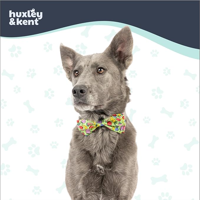 Huxley & Kent Pet Bow Tie for Dogs & Cats - Adjustable Hook & Loop Collar Accessory - Cute & Comfortable for Holidays & Celebrations - Tutti Fruity, Small