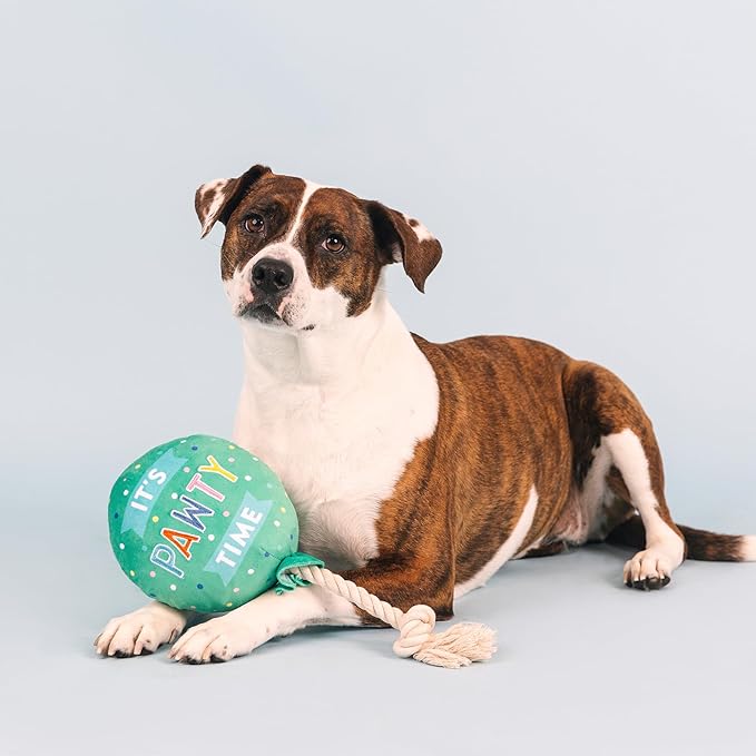 Fringe Studio Plush Dog Toy, I Pawty, You Pawty, Pet Shop Collection (314210)