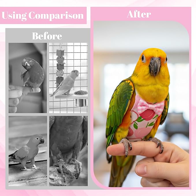 6Pcs Bird Diaper - Cute Parrot Pants with Waterproof, Reusable Pet Bird Diapers for Cockatiel Parakeet Mini Macaw Budgie Canary (M)