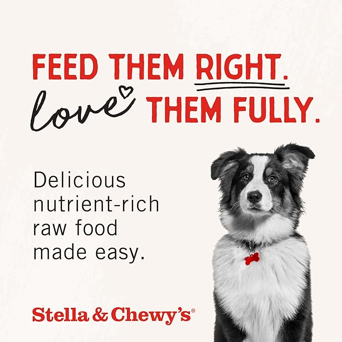 Stella & Chewy's Freeze-Dried Raw Chicken Heart Dog Treats - Single Ingredient, No Additives - Premium Training Treats - Perfect For Picky Eaters - 3oz Bag