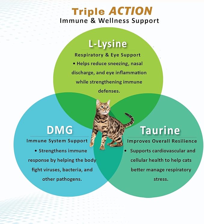 L-Lysine Concentrate for Cats – 2 oz Immune & Respiratory Support Supplement with DMG & Taurine – Helps Relieve Sneezing, Runny Nose, Congestion, Watery Eyes, FHV-1 Symptoms – Made in USA