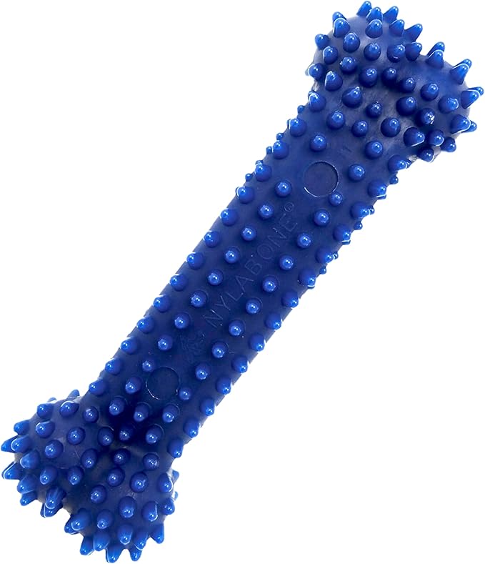 Nylabone Textured Dental Bone Flexi Chew Toy for Dogs, Dog Toys for Moderate Chewers, Chicken Flavor, Small - Up to 25 Ibs, 1 Count