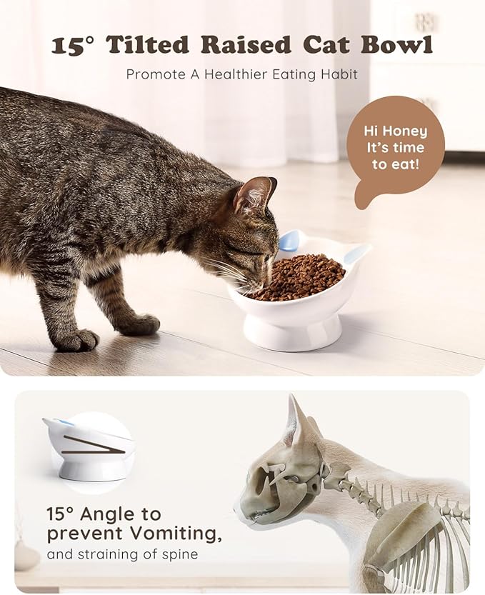 Raised Cat Food Bowl Ceramic 15° Tilted Cat Food Bowls Protect Cat's Spine Anti Vomiting Backflow Prevention Bowls for Adult Cats, Kitten, and Small Dogs, Blue