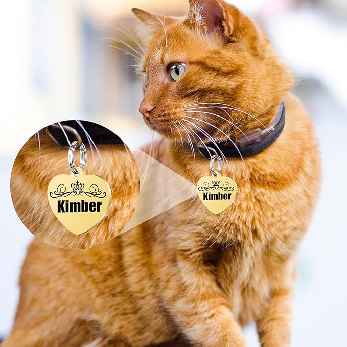 Personalized Dog Tags, Stainless Steel Pet Tags Personalized Cat, Collar Charm Engraved on Both Sides, up to 4 Lines of Custom Text, Multiple Patterns Colors Size Options (Crown, Small)